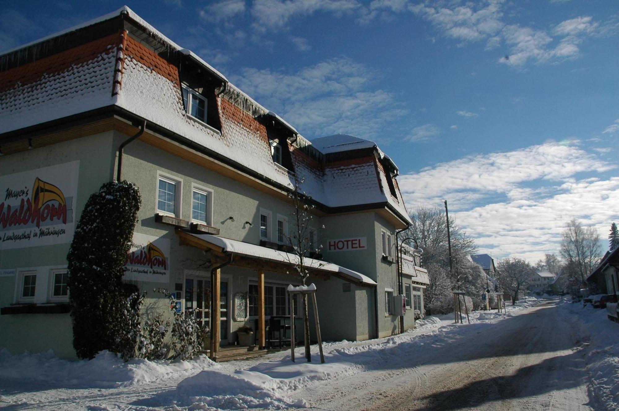 Mayers Waldhorn - Zwischen Reutlingen Und Tuebingen Kusterdingen Ngoại thất bức ảnh