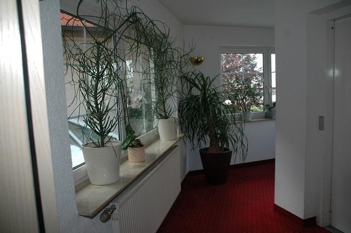 Mayers Waldhorn - Zwischen Reutlingen Und Tuebingen Kusterdingen Ngoại thất bức ảnh